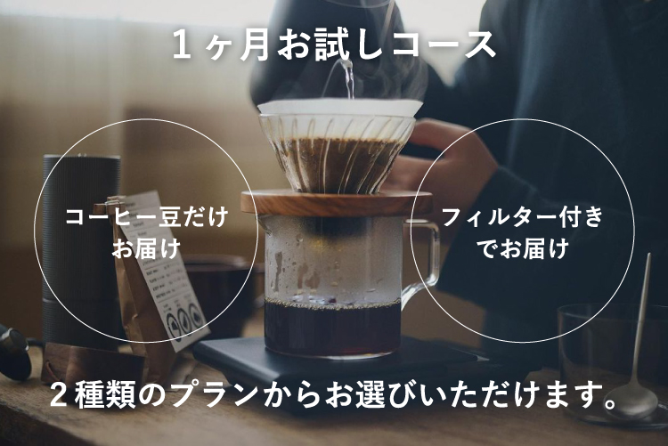 一ヶ月お試しカジノ ルーレット 画像ス