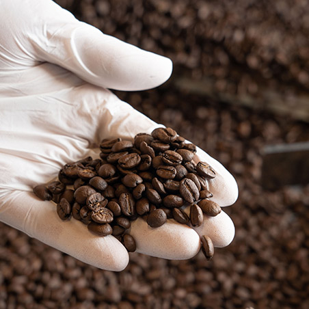 Roasted in a German-made Probat 12kg roaster