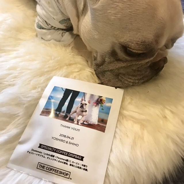 カジノ プロジェクト ルーレット 必勝 法ドリップバッグ、プチギフトオプション